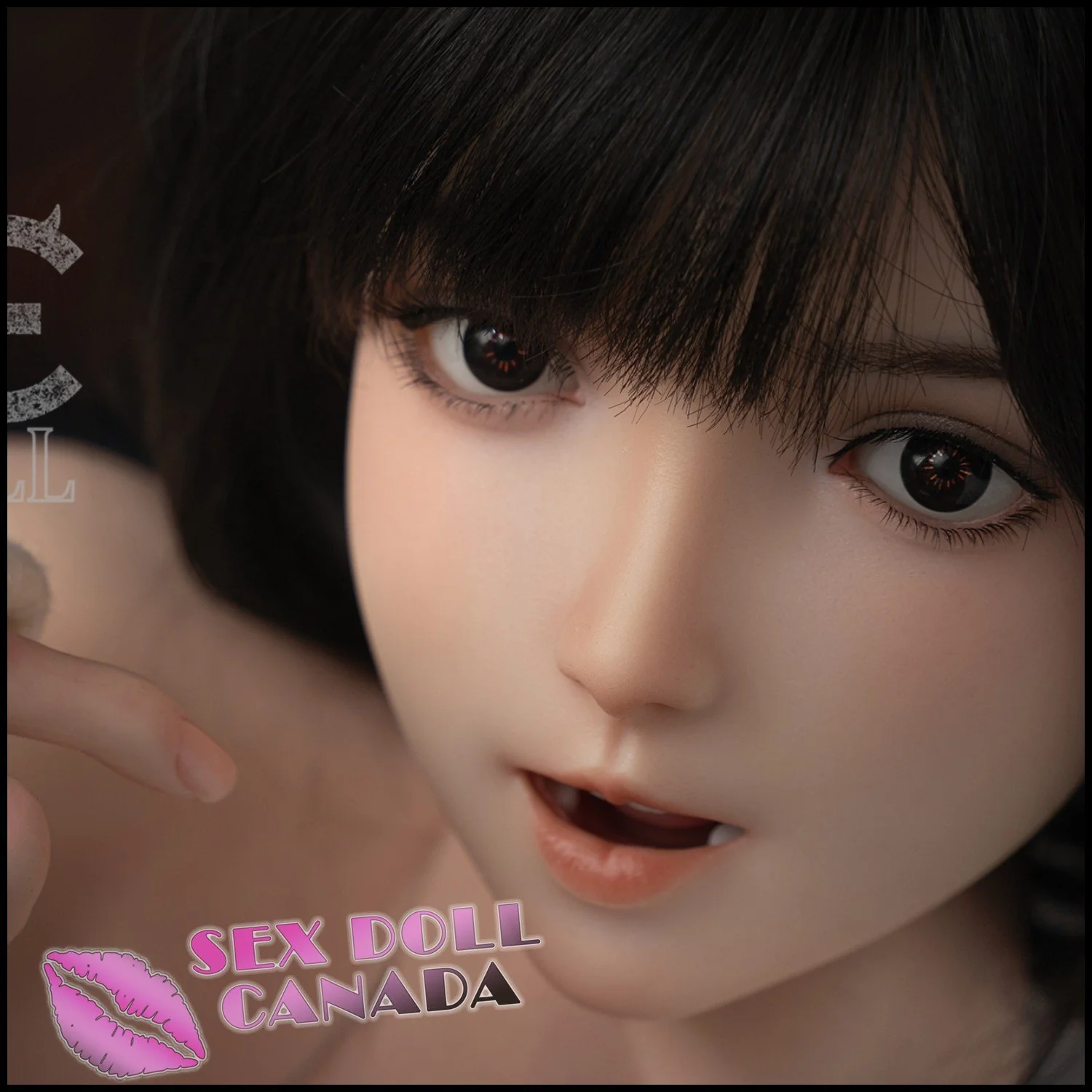 Thumbnail 12