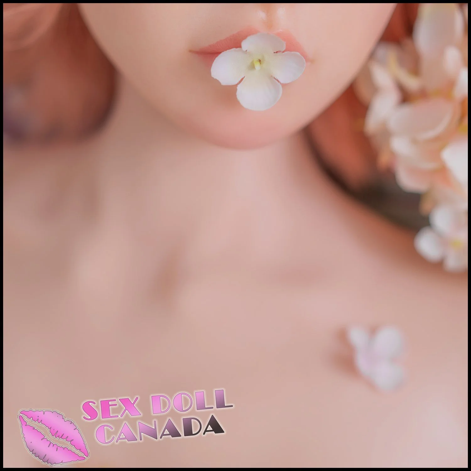 Thumbnail 15